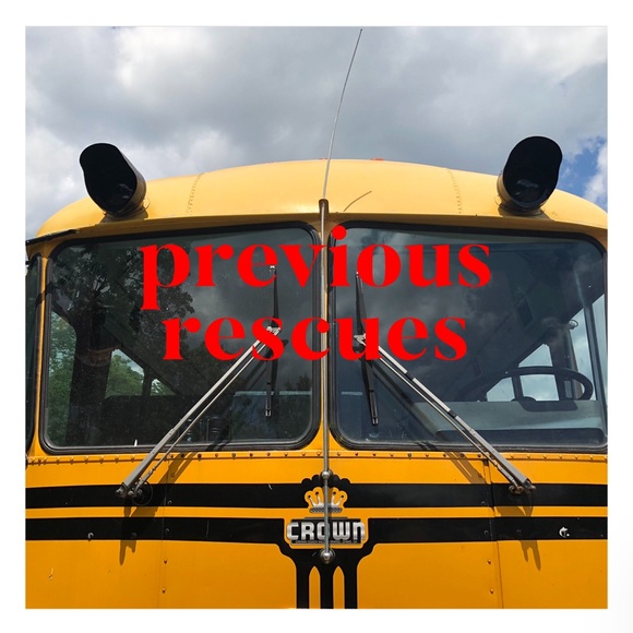 Previous Rescues - Picture 1 of 1